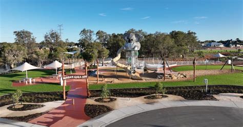 a koala's playground